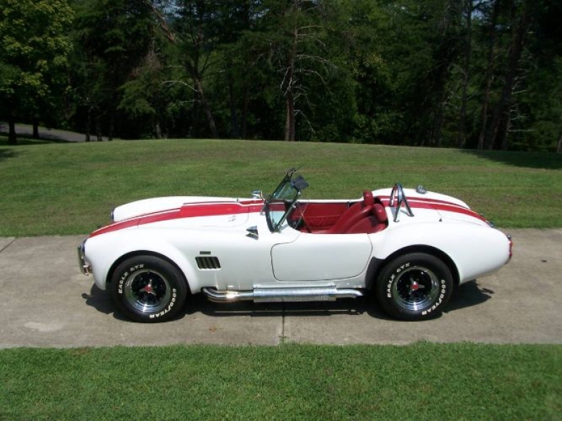 1965 Ford Cobra for sale in Michigan (ID-119349)