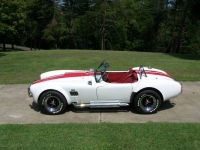 1965 Ford Cobra for sale in Michigan (ID-119349)