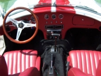 1965 Ford Cobra for sale in Michigan (ID-119349)