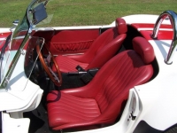 1965 Ford Cobra for sale in Michigan (ID-119349)