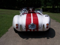 1965 Ford Cobra for sale in Michigan (ID-119349)