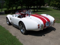 1965 Ford Cobra for sale in Michigan (ID-119349)