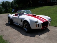 1965 Ford Cobra for sale in Michigan (ID-119349)