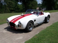 1965 Ford Cobra for sale in Michigan (ID-119349)