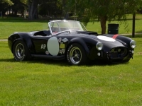 1965 Ford Cobra for sale (ID-99846)