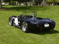 1965 Ford Cobra for sale (ID-99846)