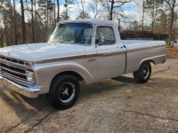 1965 Ford F100 for sale in Michigan (ID-124360)