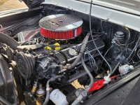 1965 Ford F100 for sale in Michigan (ID-124360)