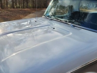 1965 Ford F100 for sale in Michigan (ID-124360)