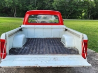 1965 Ford F100 for sale in Michigan (ID-130189)
