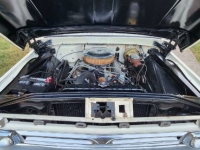 1965 Ford F100 for sale in Michigan (ID-145679)