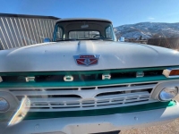 1965 Ford F150 for sale in Michigan (ID-141515)