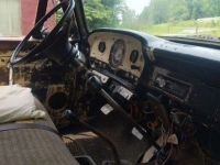 1965 Ford F250 for sale in Michigan (ID-123265)