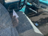 1965 Ford F250 for sale in Michigan (ID-136018)
