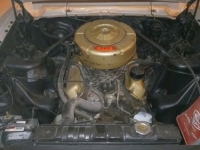 1965 Ford Fairlane for sale in Michigan (ID-96420)