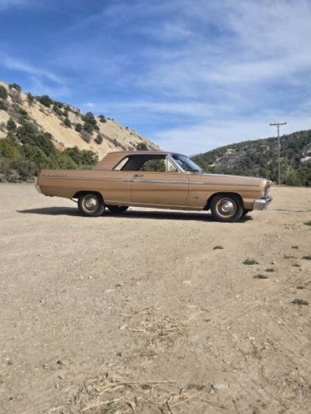 1965 Ford Fairlane for sale in Michigan (ID-144905)
