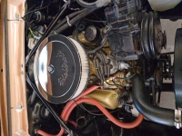 1965 Ford Fairlane for sale in Michigan (ID-144905)