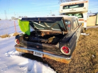 1965 Ford Falcon for sale in Michigan (ID-126119)