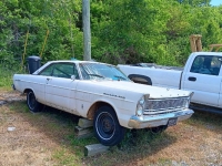 1965 Ford Galaxie for sale in Michigan (ID-132539)