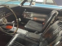 1965 Ford Galaxie for sale (ID-106232)