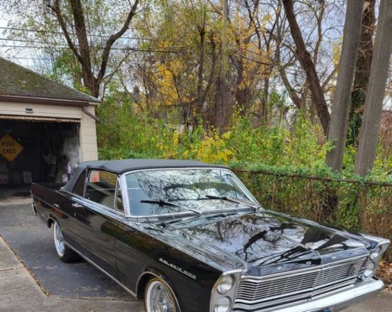 1965 Ford Galaxie 500 for sale in Michigan (ID-116223)
