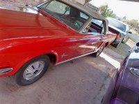 1965 Ford Mustang for sale in Michigan (ID-101127)