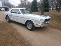 1965 Ford Mustang for sale in Michigan (ID-108954)