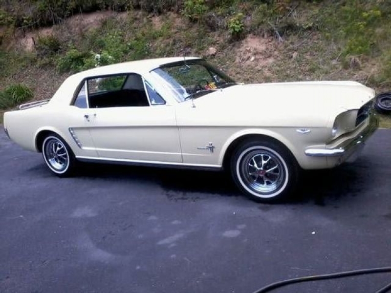 1965 Ford Mustang for sale in Riverhead, New York (ID-110677)