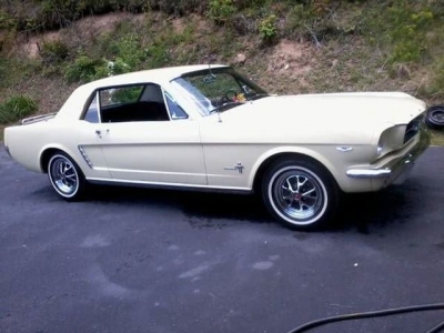 1965 Ford Mustang for sale