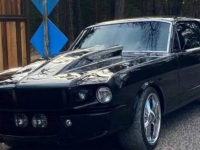 1965 Ford Mustang for sale in Michigan (ID-111463)