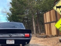 1965 Ford Mustang for sale in Michigan (ID-111463)