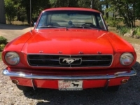 1965 Ford Mustang for sale in Michigan (ID-113503)