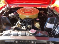 1965 Ford Mustang for sale in Michigan (ID-113503)