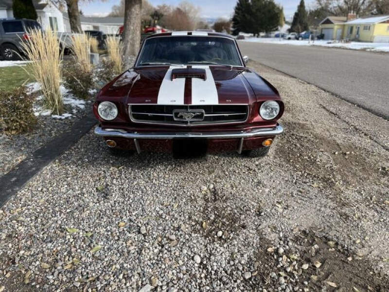 1965 Ford Mustang for sale in Michigan (ID-114239) 1965 Ford Mustang for sale in Michigan (ID-114239)