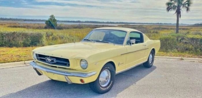 1965 Ford Mustang for sale in Michigan (ID-114784)