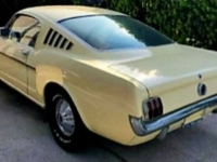 1965 Ford Mustang for sale in Michigan (ID-114784)