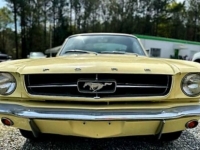 1965 Ford Mustang for sale in Michigan (ID-114784)