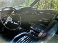 1965 Ford Mustang for sale in Michigan (ID-114784)