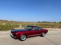 1965 Ford Mustang for sale in Michigan (ID-115485)