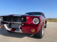 1965 Ford Mustang for sale in Michigan (ID-115485)
