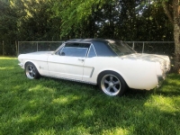 1965 Ford Mustang for sale in Michigan (ID-115968)
