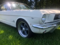 1965 Ford Mustang for sale in Michigan (ID-115968)