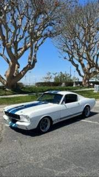 1965 Ford Mustang for sale in Michigan (ID-116249)