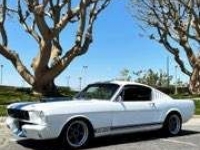 1965 Ford Mustang for sale in Michigan (ID-116249)