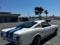 1965 Ford Mustang for sale in Michigan (ID-116249)