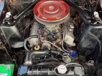 1965 Ford Mustang for sale in Michigan (ID-116250)