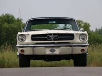 1965 Ford Mustang for sale in Riverhead, New York (ID-117905)