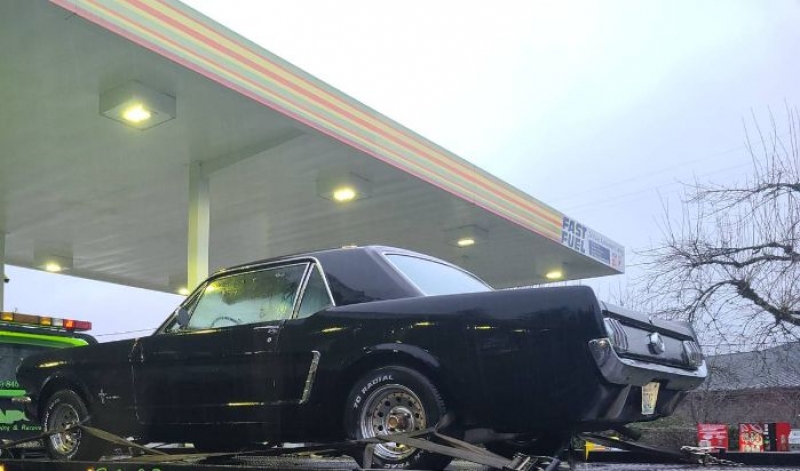1965 Ford Mustang for sale in Michigan (ID-118426) 1965 Ford Mustang for sale in Michigan (ID-118426)