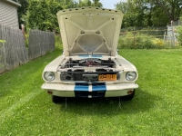 1965 Ford Mustang for sale in Michigan (ID-120001)