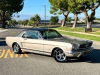 1965 Ford Mustang for sale in Michigan (ID-120121)